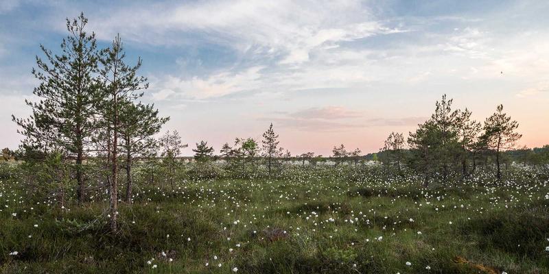 Future Tech与Web 3.0时代：社交平台的数字遗产管理与虚拟身份存续新解