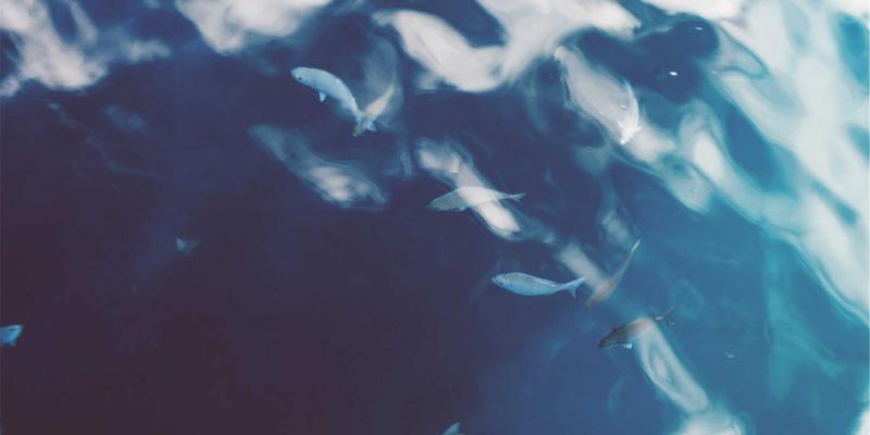 Social Network 4.6:未来科技如何重塑在线社区与数字连接