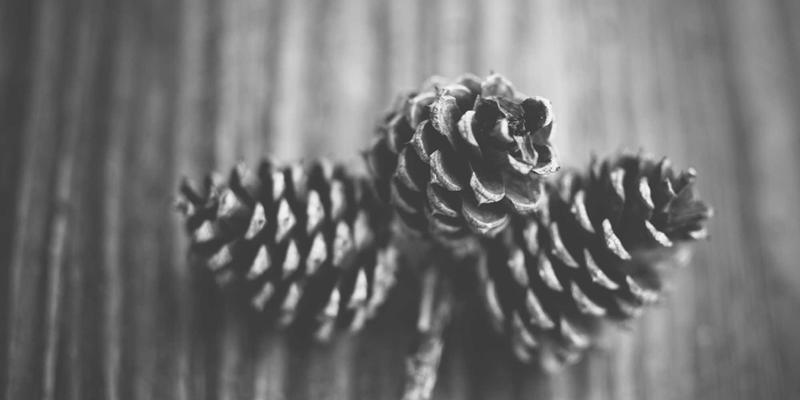 The Evolution of Social Network20: How Modern Social Platforms and Online Communities Are Redefining Networking