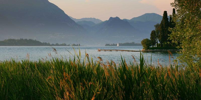 The Future of Social Network45: How the Metaverse is Redefining Digital Connection and Networking