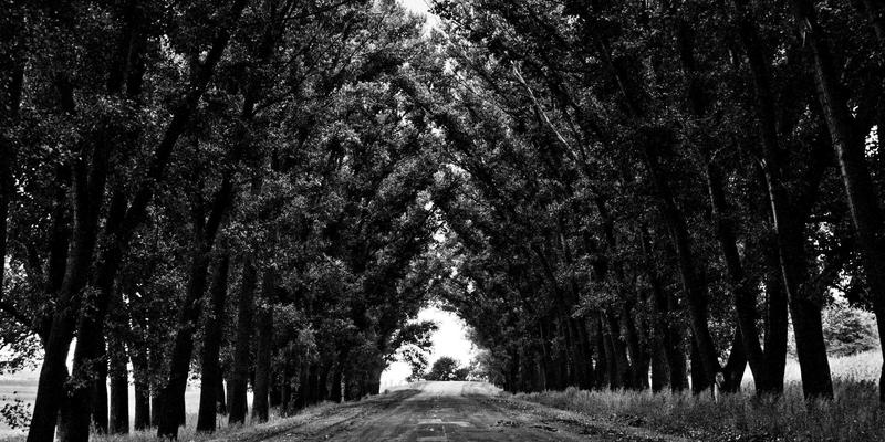 The Rise of social network64: How Web 3.0 and the Metaverse Are Reshaping Digital Communities