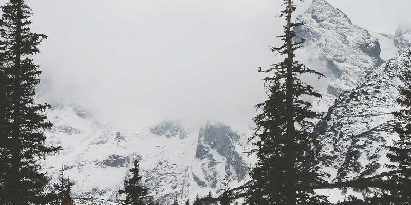 Web 3.0、元宇宙与在线社区：社交网络如何重塑教育生态与微证书体系