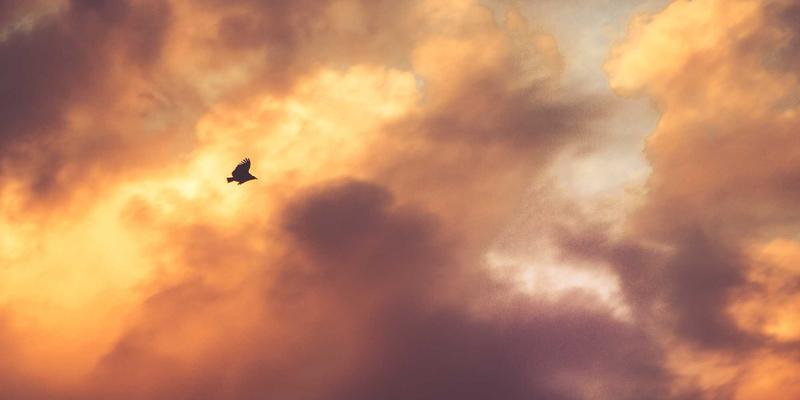 Web 3.0时代的数字连接：如何通过社交聆听在在线社区中洞察消费者真实需求