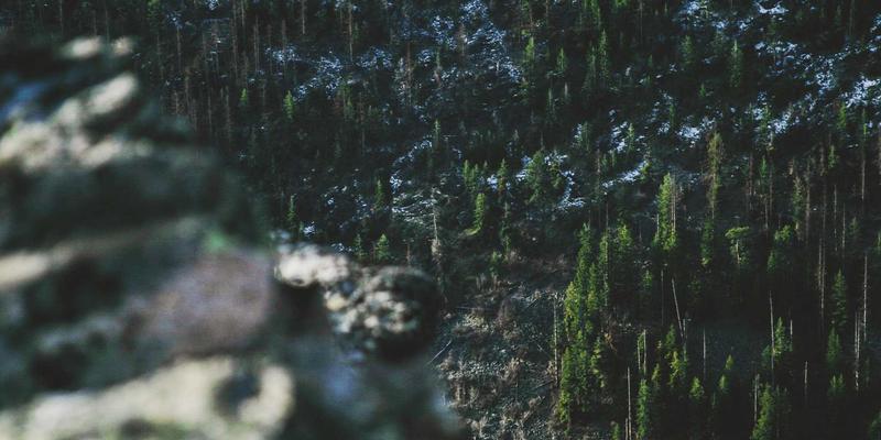 从Web 2.0到Web 3.0：社交网络的进阶之路与未来在线社区形态