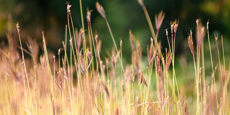 从Web 3.0到元宇宙：数字连接如何重塑社会运动与行动主义