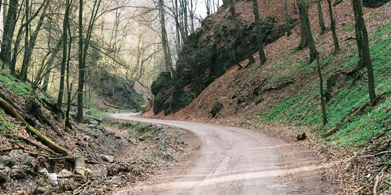 从社交网络到元宇宙：Social Network 99如何重塑数字社交的未来