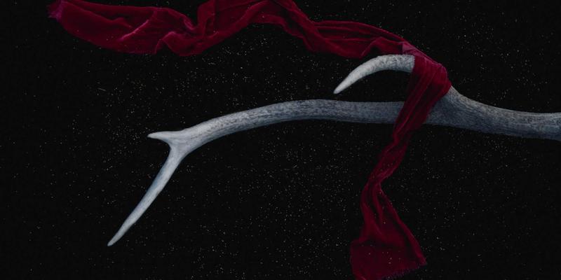 从虚拟社交到虚实共生：未来科技与元宇宙如何重塑社交网络