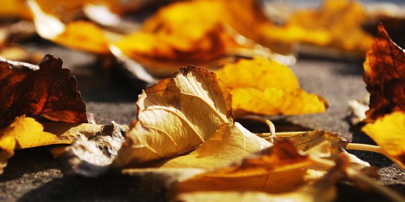 数字连接与未来科技：如何打破社交平台的算法循环与信息过载