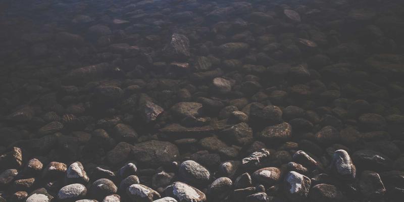 数字连接的力量：社交网络数据如何重塑公共健康监测与伦理边界