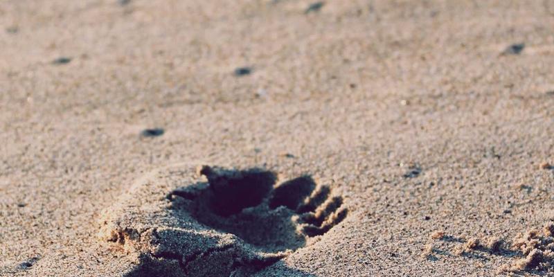 社交图谱即信用：Web 3.0时代，社交网络数据如何重塑金融信贷评估与风险预测