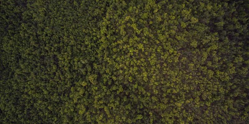 社交平台的非语言革命：Web 3.0时代表情包、GIF与虚拟形象如何重塑在线社区交流