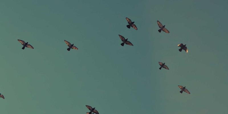 社交网络29：未来技术与在线社区的深度融合