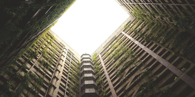 社交网络中的回声室效应：算法如何塑造我们的观点与公共讨论