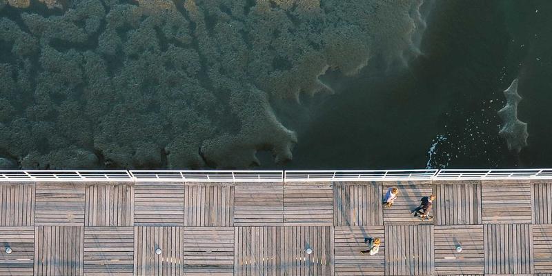 边缘社交的兴起：小众社交平台如何通过设计哲学构建高黏性在线社区